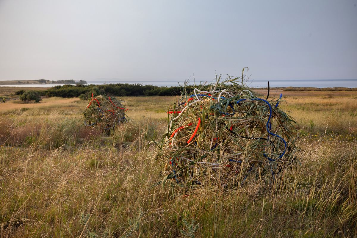 Tumbleweed II